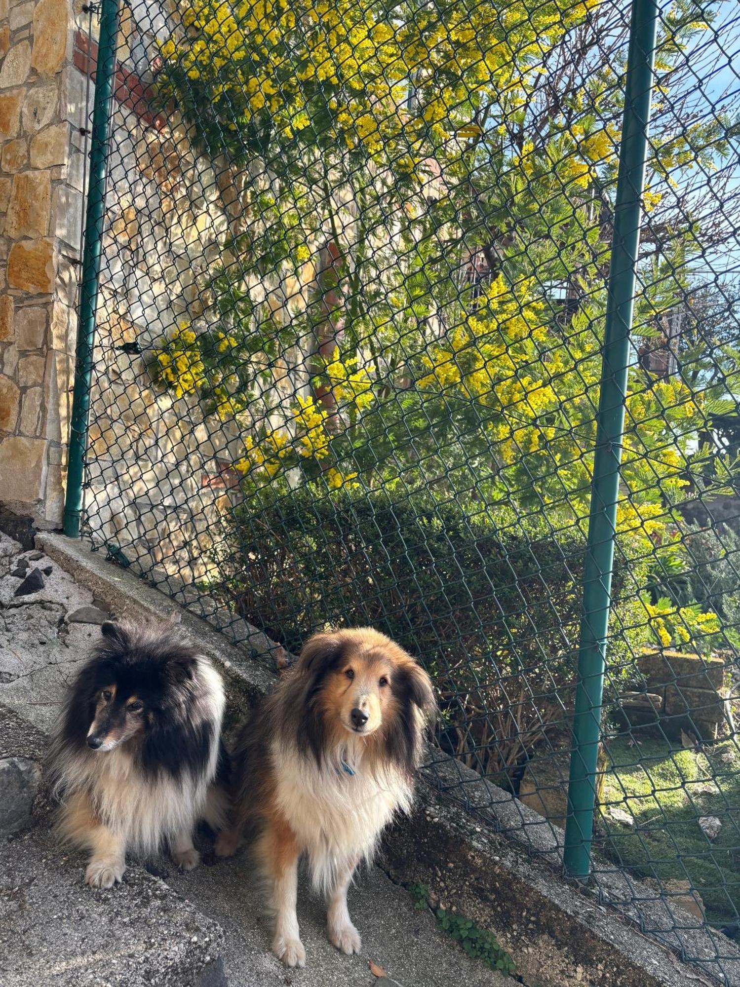 B&B Alle Scalette Trissino 外观 照片